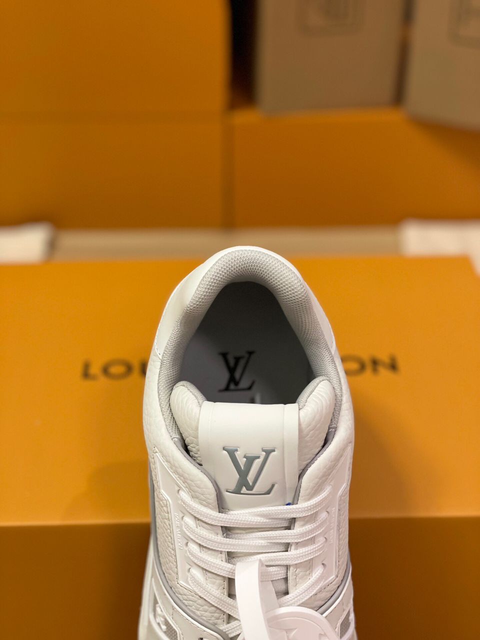 Louis Vuitton Trainer #54